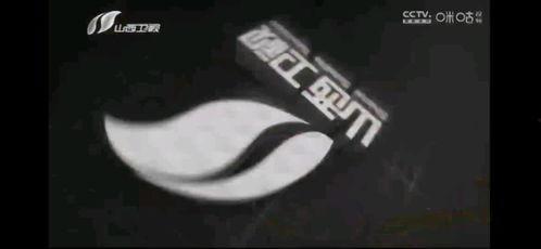 中央新闻13频道爆料视频,揭秘重大事件内幕  第1张